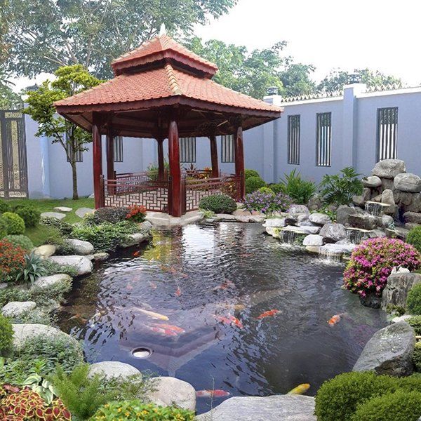 Thi công hồ cá koi