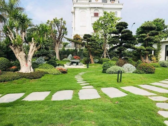 Thi công thiết kế cảnh quan sân vườn 