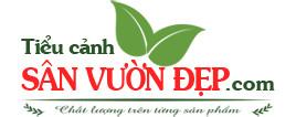 TIỂU CẢNH SÂN VƯỜN ĐẸP