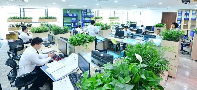 Thiết kế văn phòng