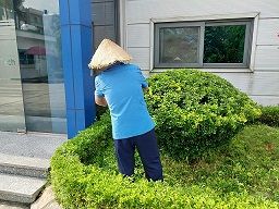 Dịch vụ chăm sóc cảnh quan