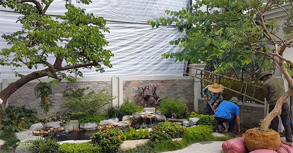 Tiểu cảnh sân vườn