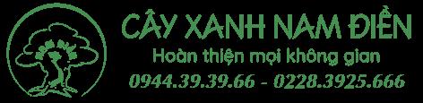 CÔNG TY TNHH CÂY XANH NAM ĐIỀN