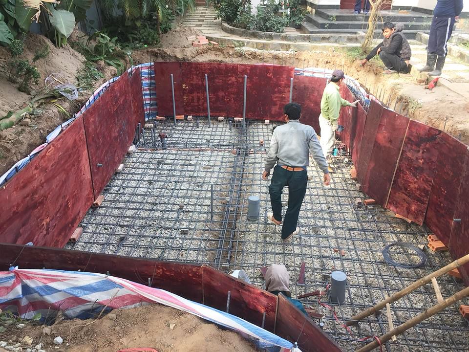 Thiết kế thi công hồ cá Koi
