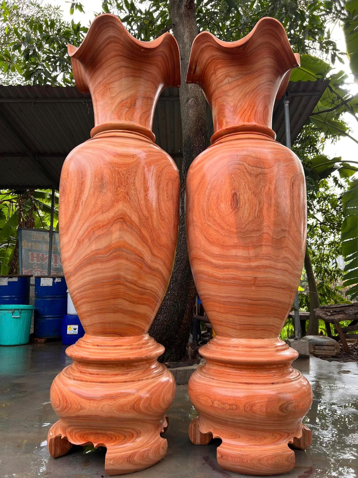 Lục bình