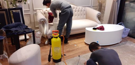 Giặt ghế sofa