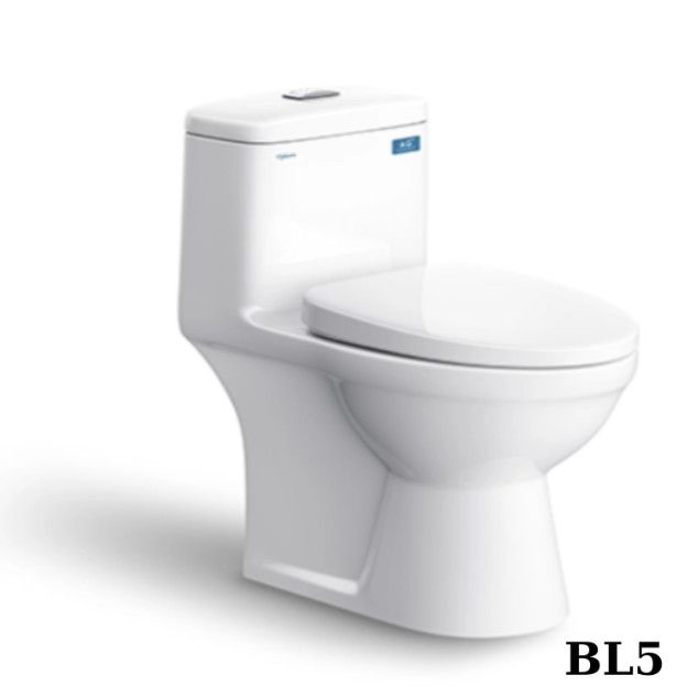 Bồn cầu Viglacera