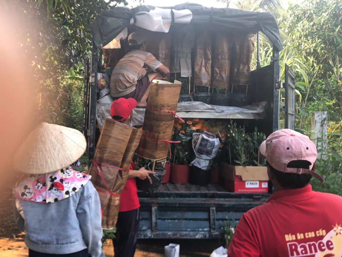 Vận chuyển hoa kiểng