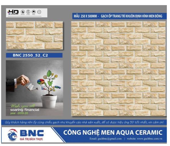 Gạch BNC 255052 25x50 8vT