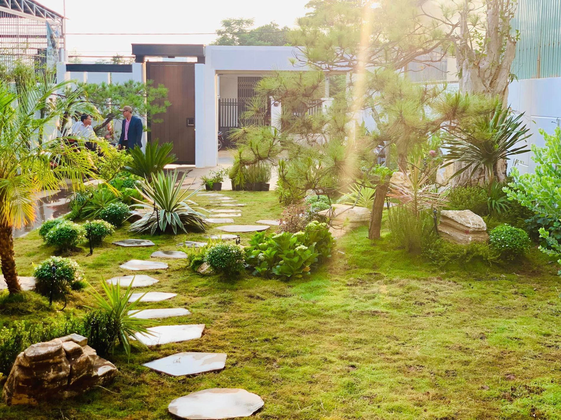 Thiết kế cảnh quan sân vườn 