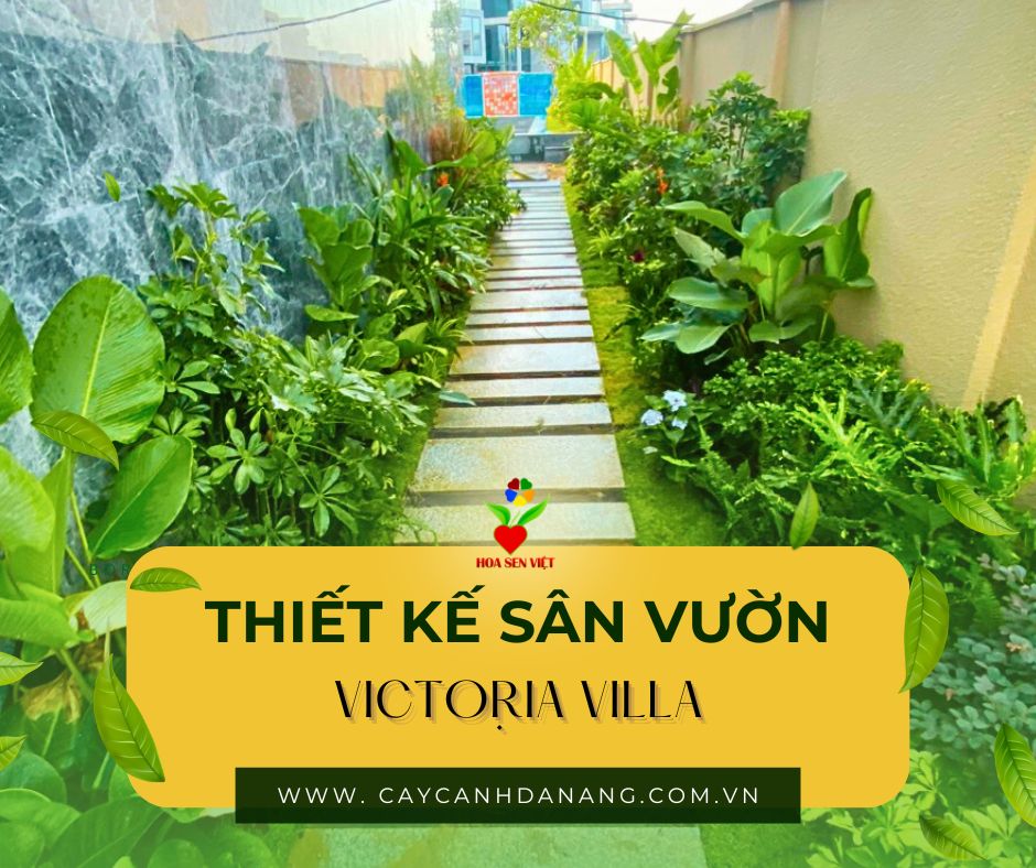 Thiết Kế Sân Vườn Victoria Villa