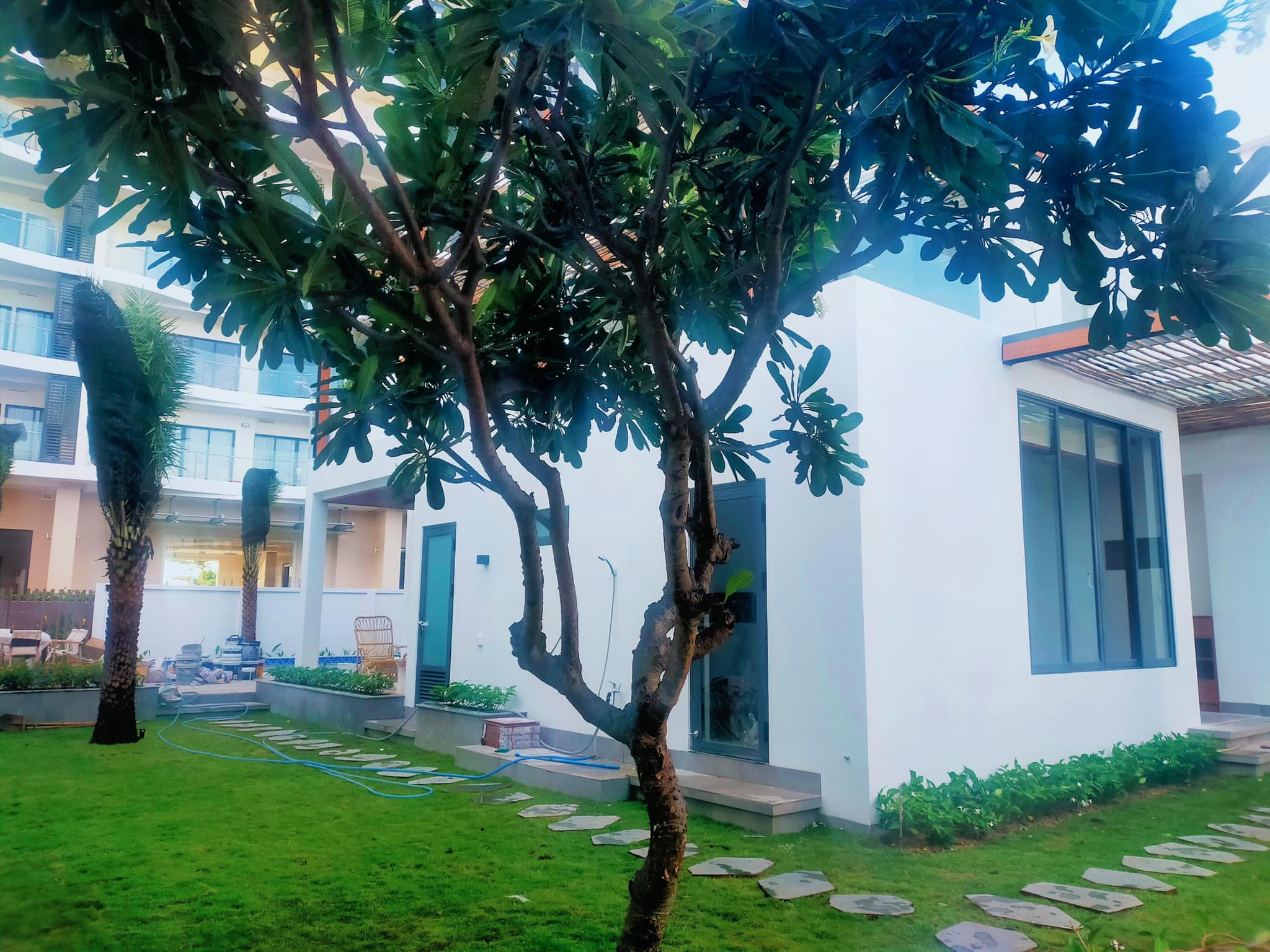 Thiết kế cảnh quan sân vườn