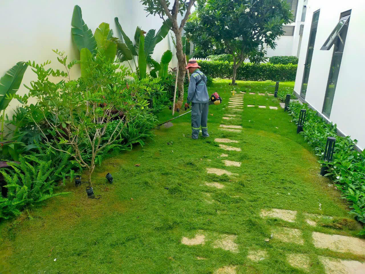 Thi công thiết kế cảnh quan sân vườn