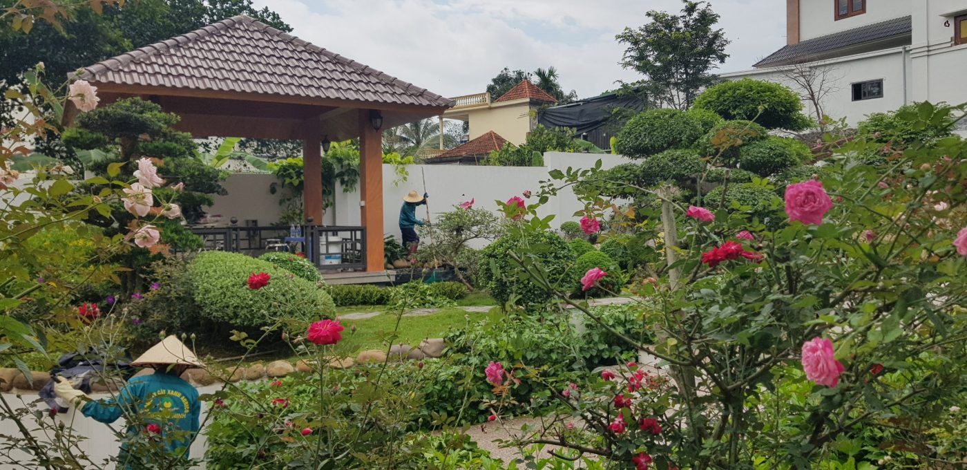 Căn sóc cây xanh định kỳ