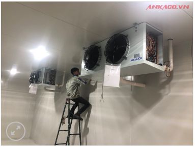 Kho đông lạnh thực phẩm nhà hàng