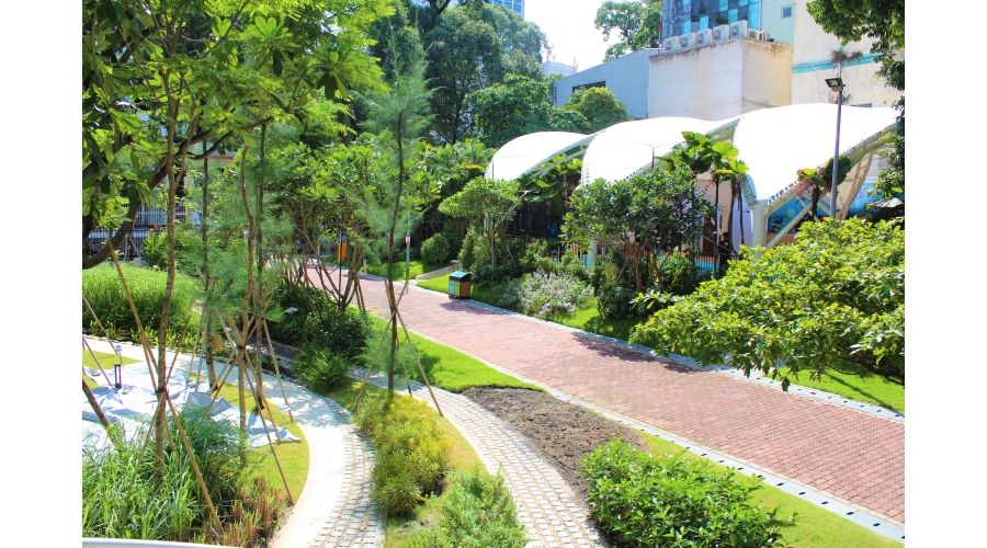 CHĂM SÓC BẢO DƯỠNG CÂY XANH