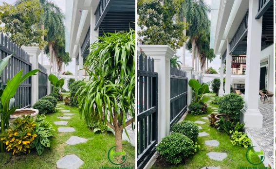 Thi công thiết kế cảnh quan biệt thự