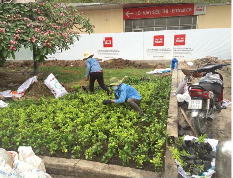 CÔNG TRÌNH SIÊU THỊ LOTTE MART Q7