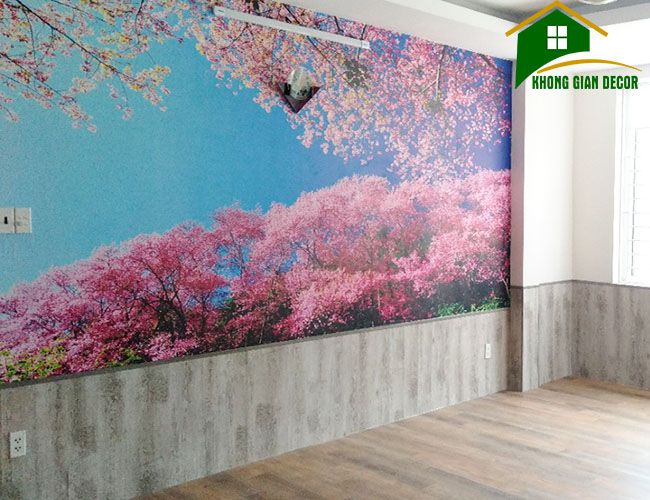 CÔNG TRÌNH SÀN VINYL VÀ TRANH DÁN TƯỜNG