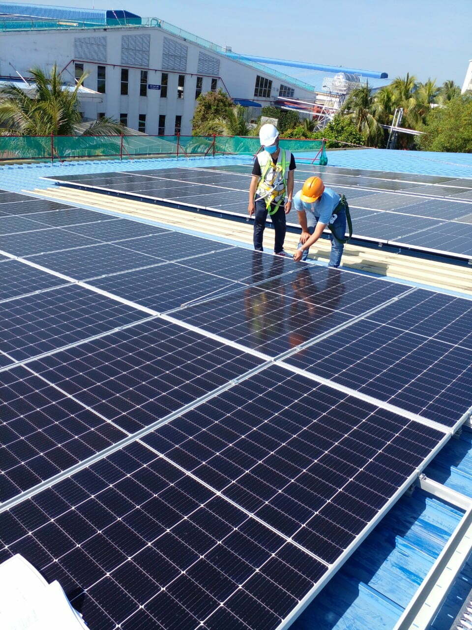 Công trình công ty Xuất Nhập Khẩu