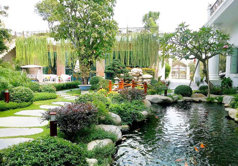 Thi công hồ cá koi