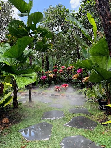 Thiết kế  Thi công Vườn nhiệt đới Tropical Forest