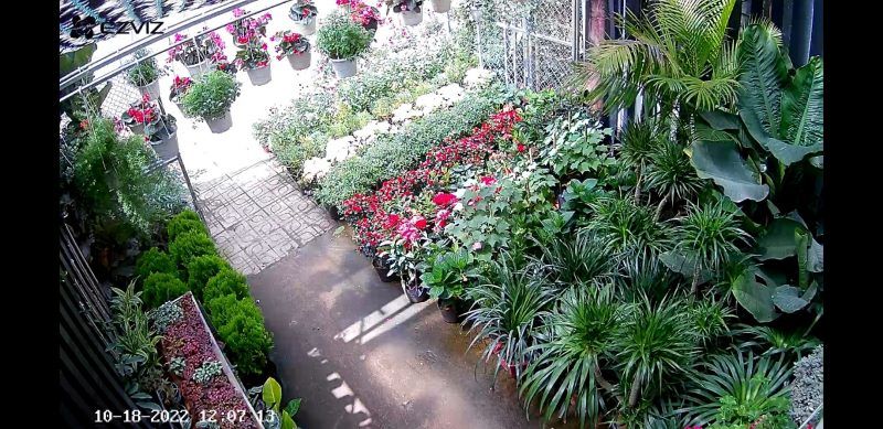 Lắp camera giám sát