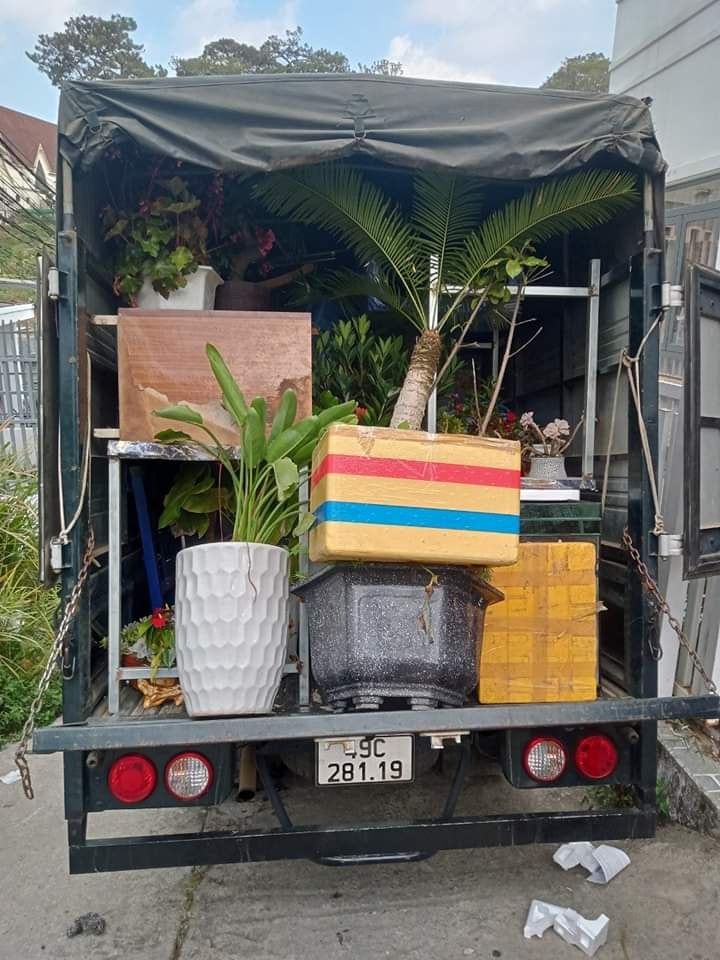 Dịch vụ chở hàng theo yêu cầu 