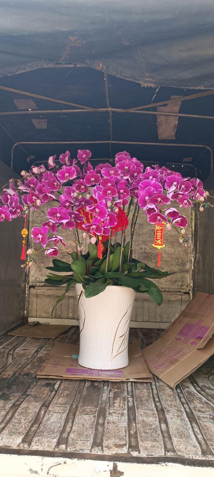 Vận chuyển hàng hóa 