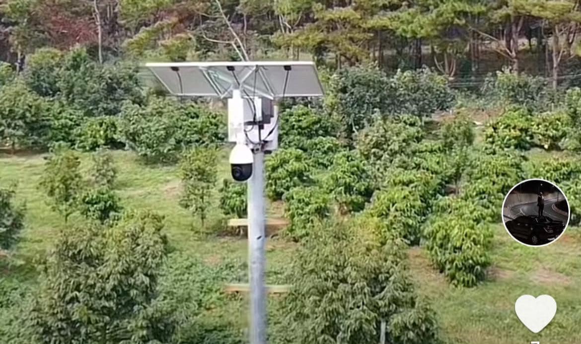 Lắp camera điện năng lượng mặt trời 