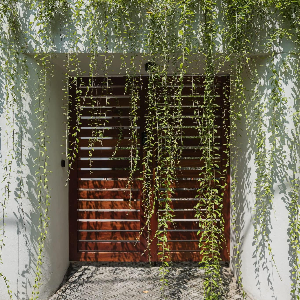 Maison NCT